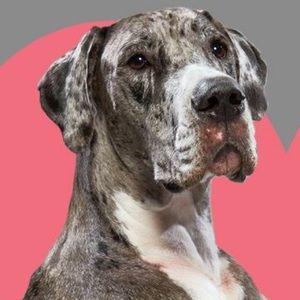 Meet your Posher, Jaycie